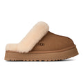 Disquette Chestnut